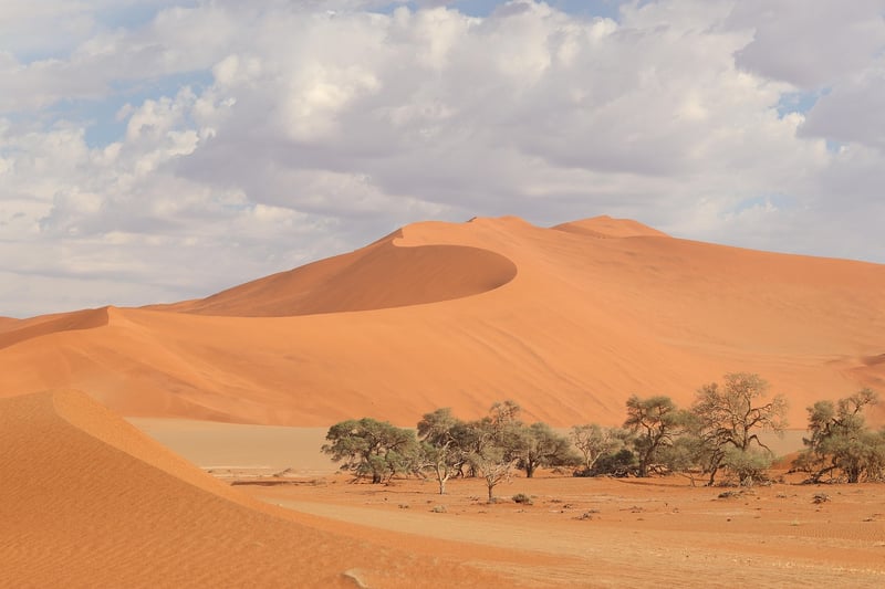 Desert Dunes
